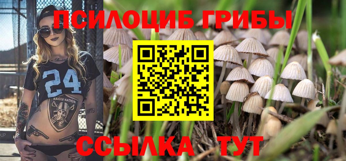 Галлюциногенные грибы Magic Shrooms Псков